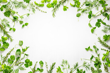 Various fresh herbs arranged in a frame. Cooking concept with spices garden herbs. Healthy food.Top view.