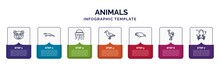 Infographic Template With Icons And 7 Options Or Steps. Infographic For Animals Concept. Included Panda Bear, Mink, Medusa, Albotros, Seal, Ostrich, Squid Icons.