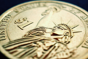 Wall Mural - fragment of american 1 one dollar coin close-up. statue of liberty and the sign of national currency
