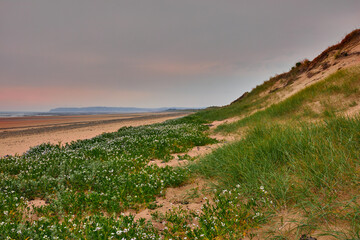 Wall Mural - Image of sanddunes with sea in the background, sand and partly cloudy sky. Carteret, Normandy, France