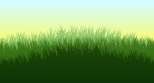 Grass. Nature Rural Landscape. The Pasture Is Overgrown. Overgrown Dense Lawn. Horizontal Seamless Illustration. Vector