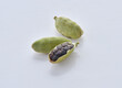 Cardamom / Green Cardamom, is a natural and organic herb. 