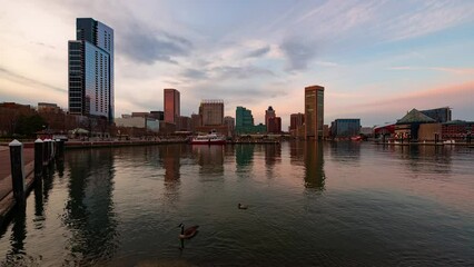 Fototapete - Baltimore bay timelapse
