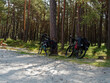bicycles in the forest