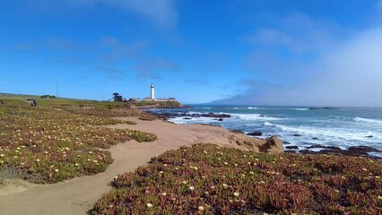 Wall Mural - Pigeon Point Lighthouse