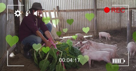 Poster - Animation of heart icons over caucasian man feeding pigs