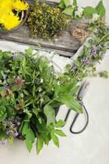 Sticker - Edible plants and flowers on a light background.