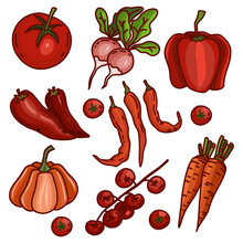 Vector Set Of Red And Orange Vegetables: Tomato, Pepper, Reddish, Chily, Carrot, Pumpkin. Hand-drawn Collection With Black Outline Isolated On White Background