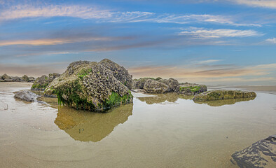 Wall Mural - Panoramic picture of rocks during low tide on North Sea coast of Belgium