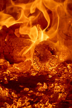 Fuego De Roble Dentro Del Horno De Adobe, Para Preparar Raicilla, En San Gregorio, Mixtlan, Jalisco