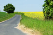 Droga biegnąca między kolorowymi polami uprawnymi na wiosnę. 