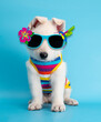 puppy dog with sunglasses studio portrait on isolated background