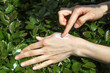 © kargona - Applying of the moisturizing skincare hand cream on woman's palm among the green leaves