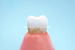 Clean teeth from yellow to white by Dental technic or Toothpaste. Oral Hygiene concept. 3D rendering