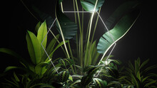 White Neon Light With Tropical Leaves. Hexagon Shaped Fluorescent Frame In Nature Environment.
