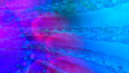 Wall Mural - Abstract multicolored gradient fantasy background
