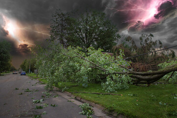 damaged city. storm damage aftermath Damaged tree by hurricane wind after storm.Tree down on the road. transformer on electric poles and a tree laying across power lines over road.