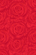 Seamless red roses pattern