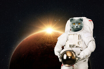 Poster - Space cat astronaut in a space suit with a helmet on the background of the red planet Mars with rays of sunlight. Funny cat spaceman. Creative idea and pet