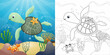 Cartoon of turtle with starfish and crab underwater, coloring book or page
