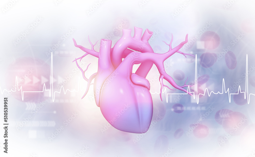 Human heart anatomy with ecg graph. medical concept. 3d illustration ...