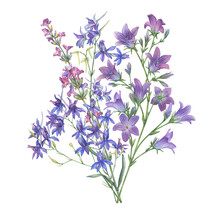 Bouquet With Violet And Lilac Lavender, Bluebell, Field Larkspur Flowers. Watercolor Hand Painting Illustration On Isolate White Background.