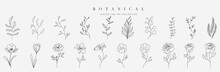 Set Botanical Hand Drawn Vector Element. Collection Of Foliage, Leaf Branch, Floral, Flowers, Roses, Lily In Line Art. Minimal Style Blossom Illustration Design For Logo, Wedding, Invitation, Decor.