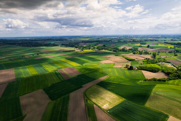 Wall Mural - Agriculture Fields Paterns in Rural Countryside. Aerial Drone View