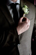 Groom in white shirt and brown suit holding boutonniere in hand at wedding day indoors, close-up. Business man dressing up. Fashion, style, lifestyle