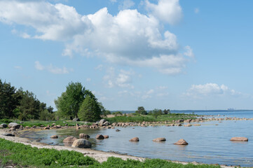 Wall Mural - sea shore