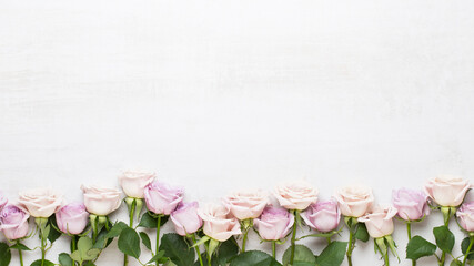 Wall Mural - Flowers composition. Frame made of pink rose on gray background. Flat lay, top view, copy space.