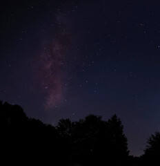 Wall Mural - Milky Way seen from North Carolina