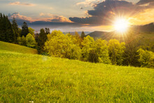 Beautiful Nature Scenery In Spring At Sunset. Countryside Landscape In The Carpathian Mountains With Fresh Green Meadows And Coniferous Forest In Evening Light. Clouds  Above The Distant Ridge