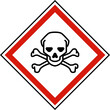 Toxic Symbol Label On White Background