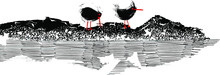 The Vector Illustration Art Sketch Of The Birds On The Ocean Rocks 