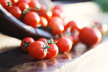 Ecological Fresh Farm Cherry Tomatoes On A Wooden Background.