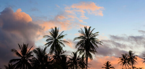 The banner travel of tropical in summer mood with palm trees and sunset sky background,Summer season time mood concept