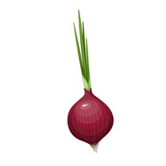 Wall Mural - Whole bulb red onion with roots and green leaf sprouts, vector illustration