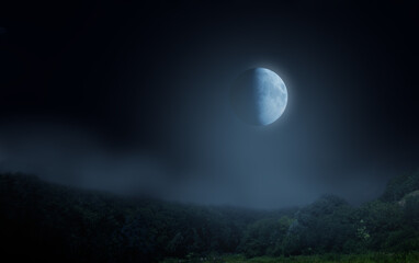 Wall Mural - Moon at night, starless sky.Fog over the forest.Background for Halloween