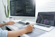 © snowing12 - Software development concept, Male programmer pointing on data code to checking website programming