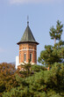 Tower from red brick in a park