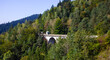 ark bridge in a mountain forest