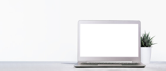 Front view of the laptop with mockup blank screen on the desk. Copy space. Minimal monochrome banner. Small plant in a pot