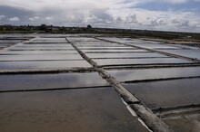 Aveiro Salt Marshes In Portugal