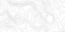 Black And White Abstract Background Vector .The Concept Of A Conditional Geography Scheme And The Terrain Path.  Topography Map Concept. Topographic Background And Texture Wavy Backdrop