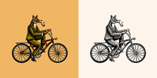A Fox With A Pipe In A Suit Rides A Bicycle And Pedals. Fashion Animal Character. Hand Drawn Woodcut Outline Sketch. Vector Engraved Illustration For Logo And Tattoo Or T-shirts.