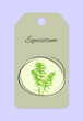 The label of the medicinal plant horsetail field