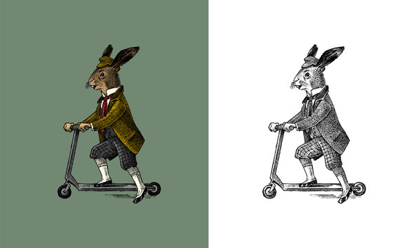 Fototapete - Hare or rabbit rides a scooter. Antique gentleman in a cap and coat. Victorian Ancient Retro Clothing. A man in a suit. Hand drawn old monochrome sketch. Vintage engraving style.