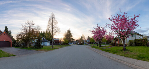 Wall Mural - Residential neighborhood Street in Modern City Suburbs. Sunny Spring Sunset. Fraser Heights, Surrey, Greater Vancouver, British Columbia, Canada. Panorama