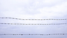 Barbed Wire Against A Cloudy Sky